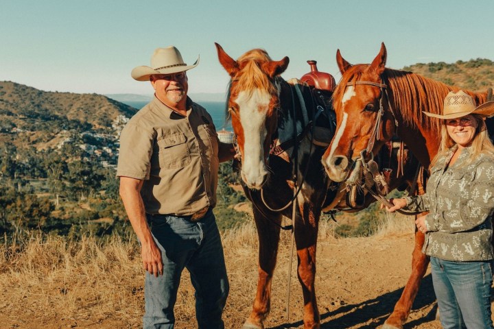 a group of people standing next to a horse