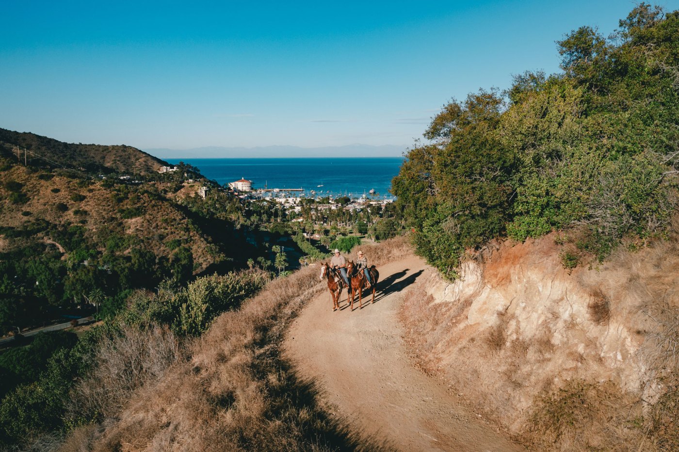 getting-to-the-ranch-catalina-island-horseback-adventures